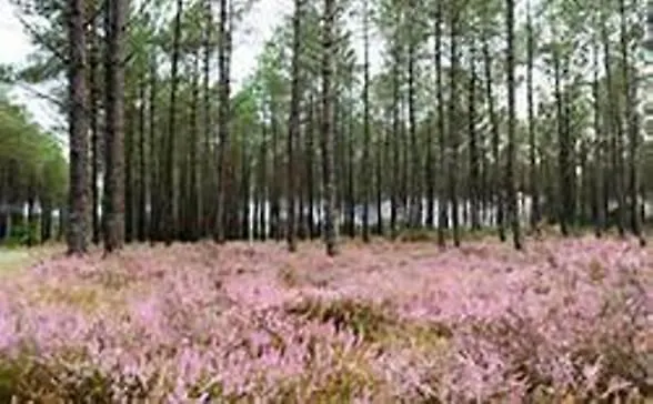 Domaine D'once Hébergement de vacances *