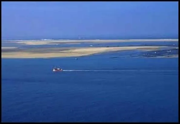 Domaine D'once Sanguinet